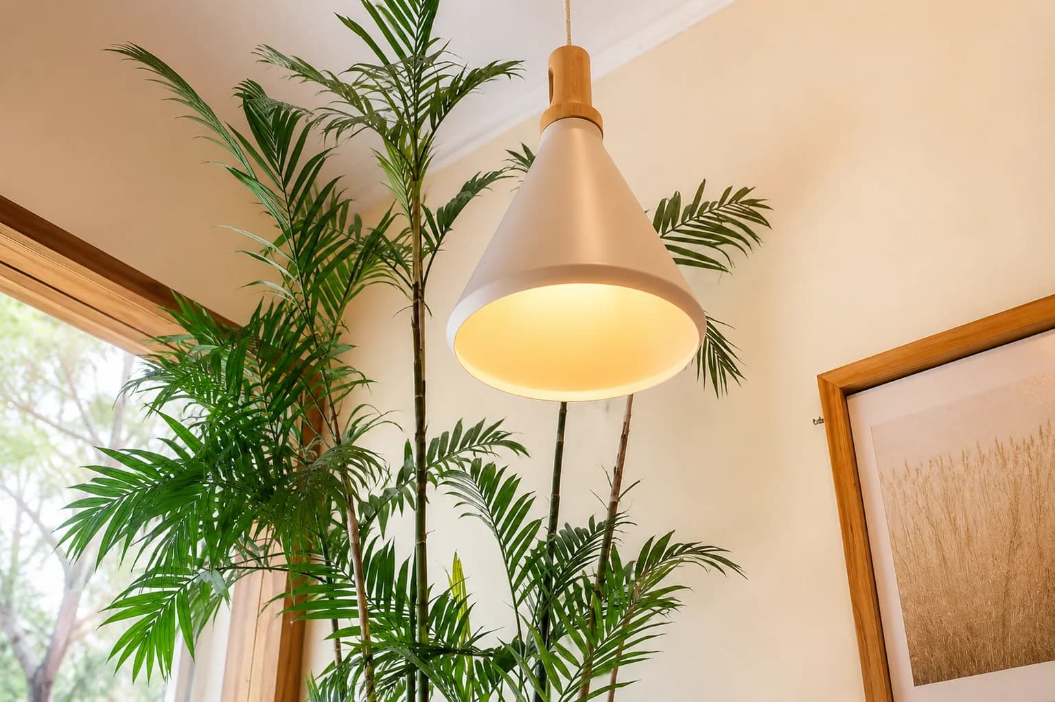 Yamuna café interior — pendant lamp and tropical plants